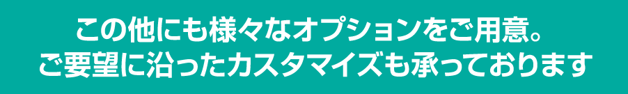 この他にも様々なオプションをご用意。
              ご要望に沿ったカスタマイズも承っております